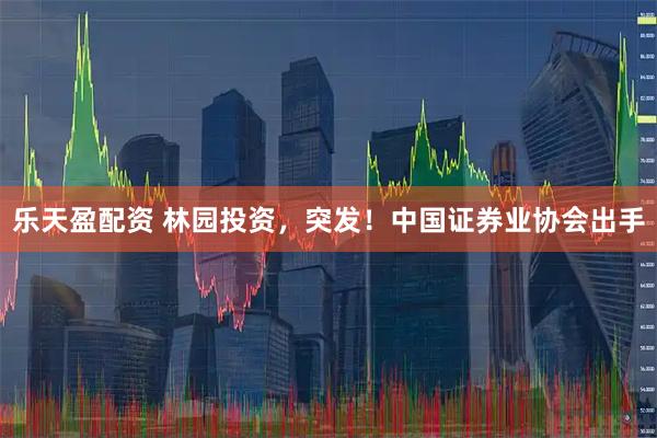 乐天盈配资 林园投资，突发！中国证券业协会出手